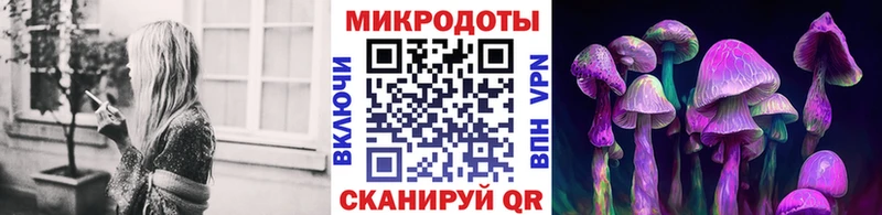 купить закладку Петушки Галлюциногенные грибы GOLDEN TEACHER